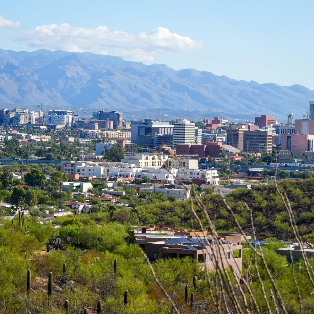Desert landscape near Tucson, Arizona